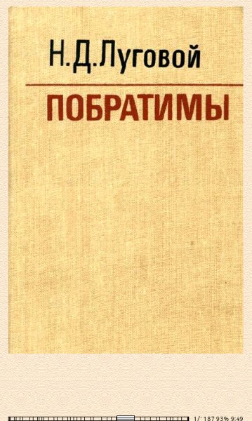 Н.Луговой. Побратимы