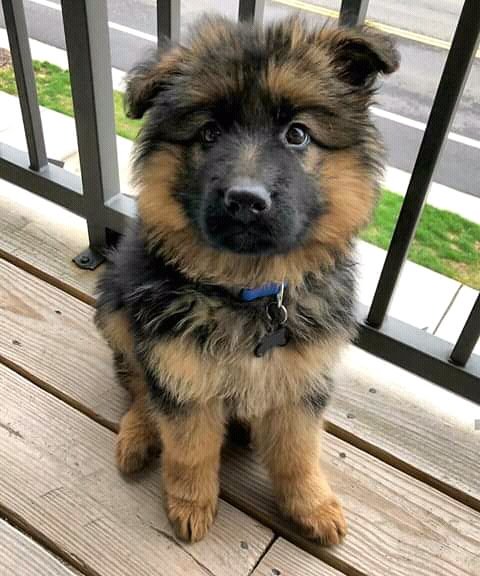 FB IMG 15881740643626397