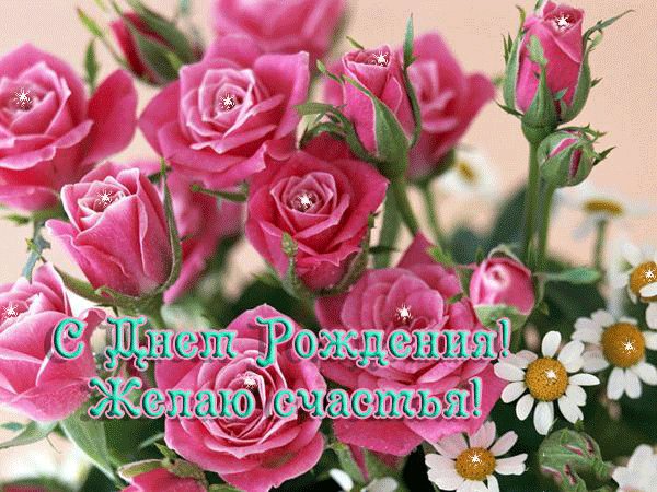 IMG 20181208 873064