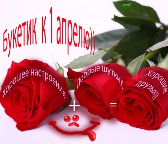 pic910731624