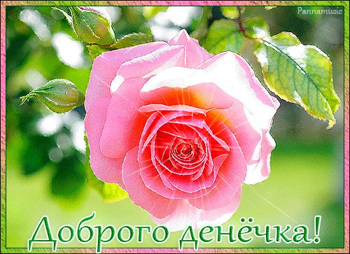 file_45080893
