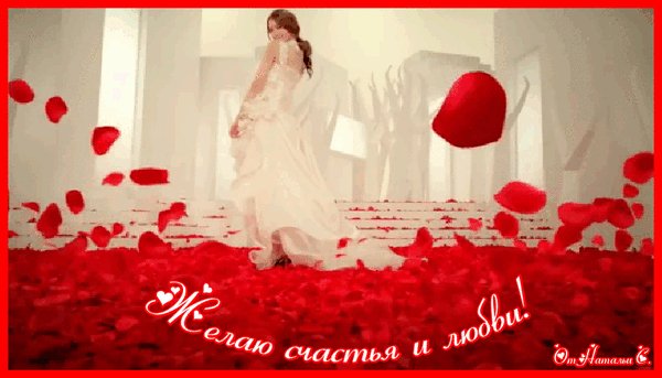 счастья и любви