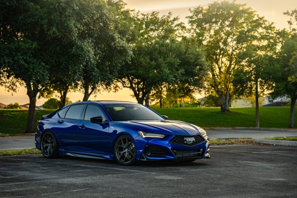 acura-tlx-blue-trees