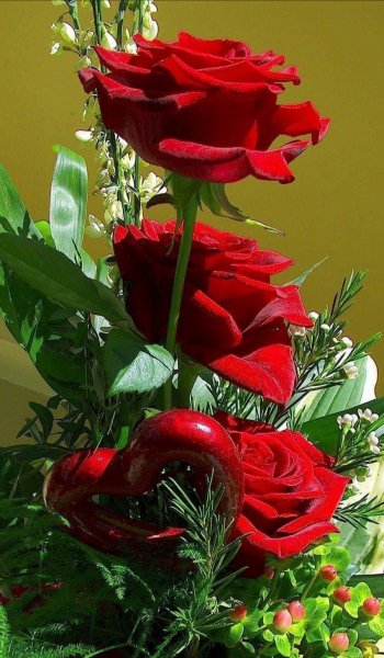 IMG 20200712 223550