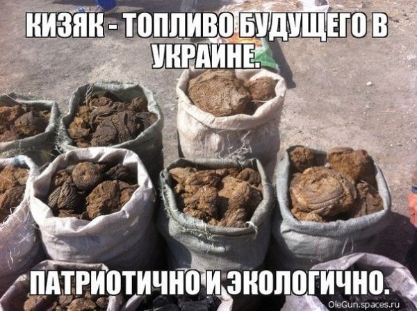 Хохло топлево