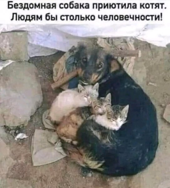 file_96908768