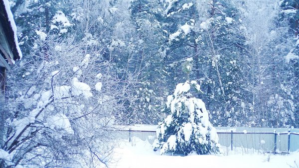 Снег идёт...