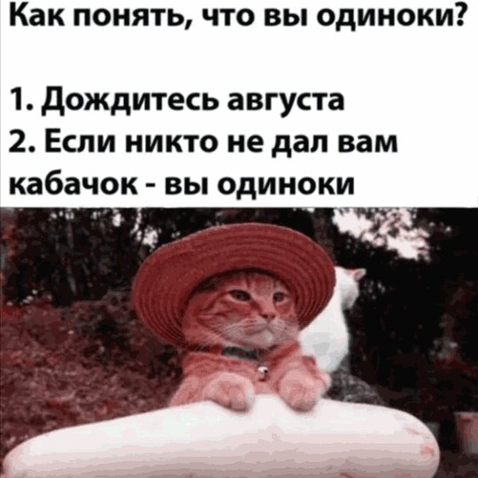 IMG 20220807 051107