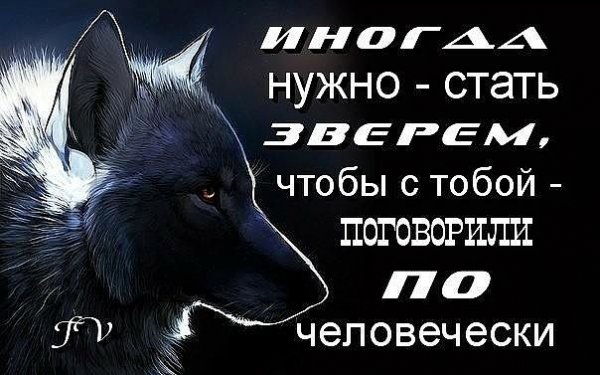 image (12)