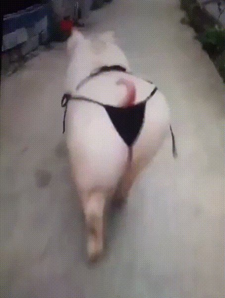 СМЕХ-09=9-098-08-