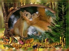 Осенний приветик