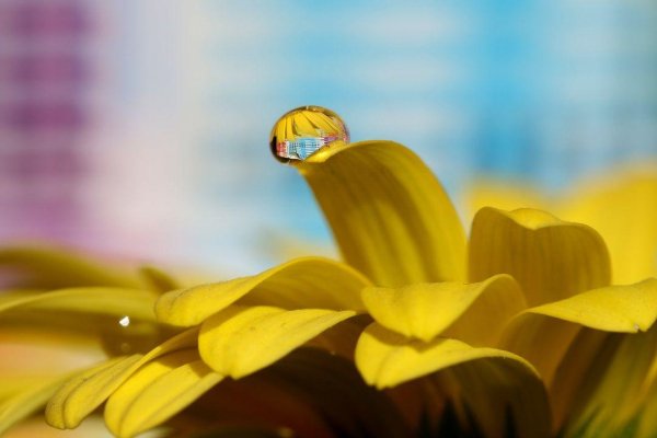 Macro 2