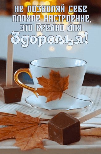 Анимированная открытка не позволяй себе