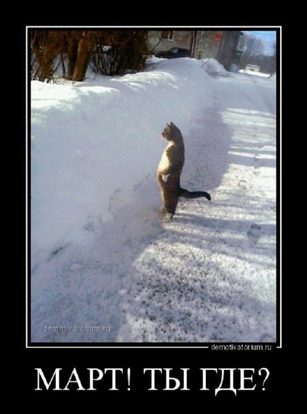 Март, ты где?