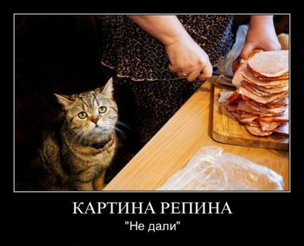 Не дали...