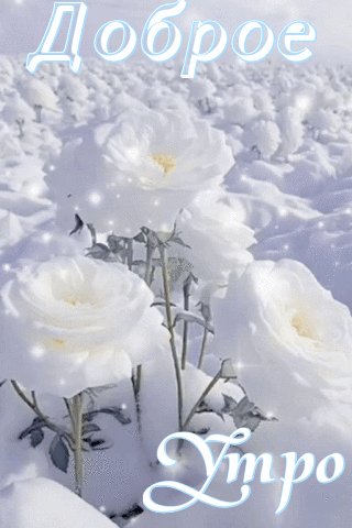 file_98249202