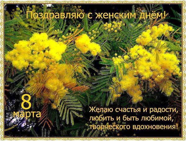 image (73)