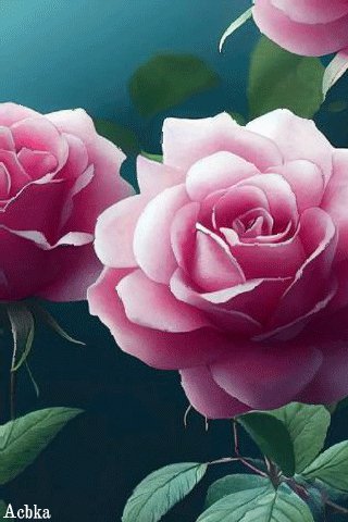file_94361883