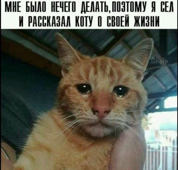 FB IMG 1776195290221