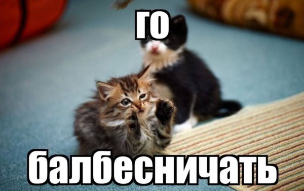 file_101891469