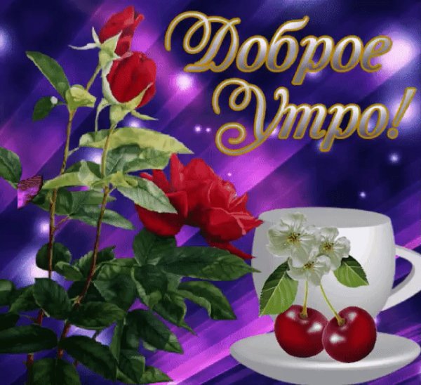 IMG 20190222 180543