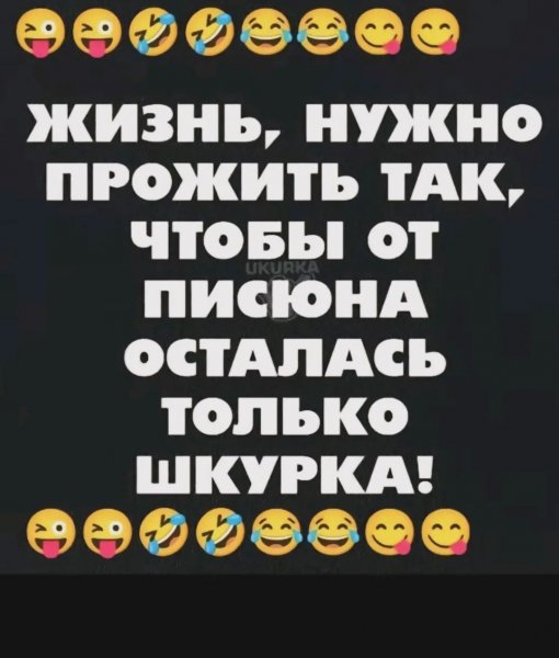 Ins53183657164 2e84975cba784ccea5c6c7db738971ab