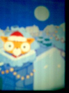 Cat on a winter roof