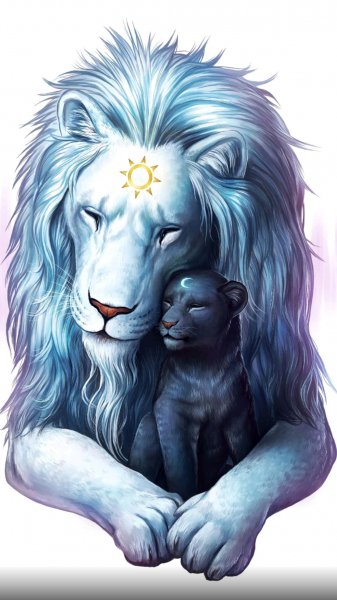 a1508bb20001b80a11wallPaper