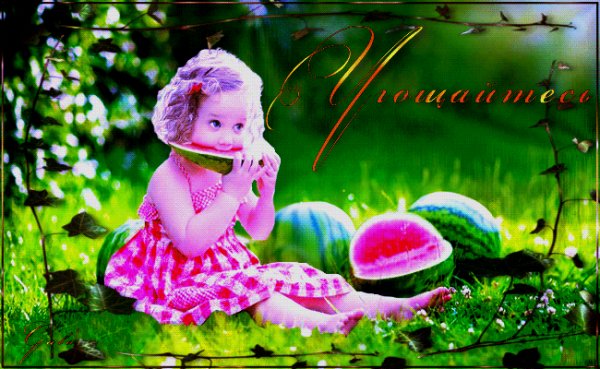 file_64006062