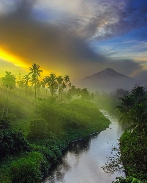Природа