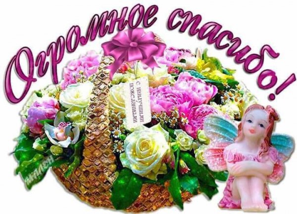 Огромное спасибо