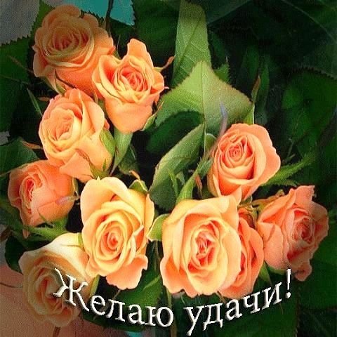 Желаю удачи
