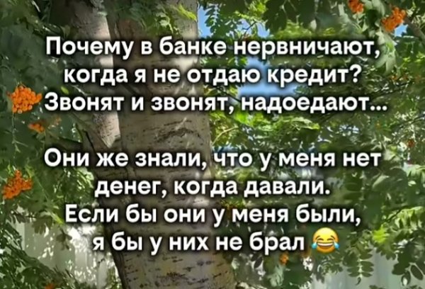 file_103270109