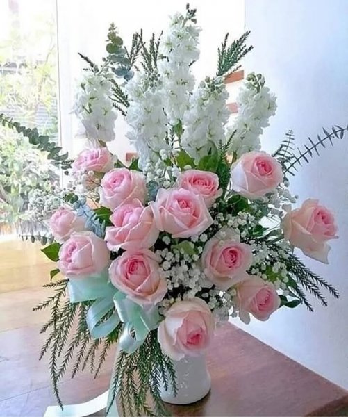 IMG 20250106 185638