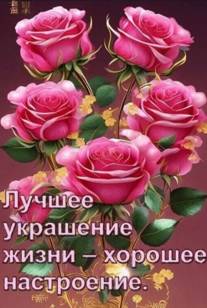 Screenshot 20250226 032641