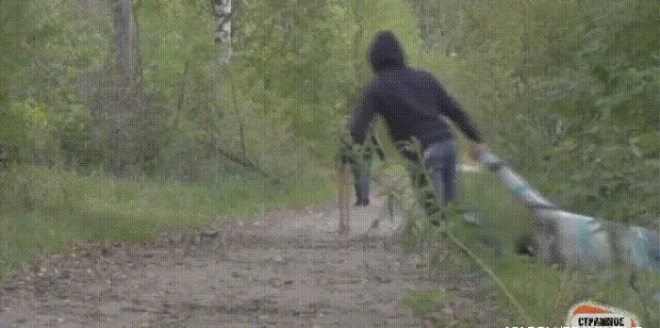 Когда решил пойти через лес