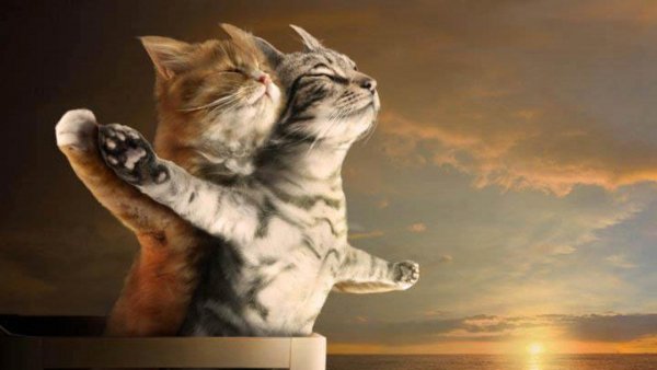 cropped-1920-1080-697907