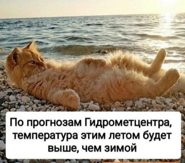 file_102645880
