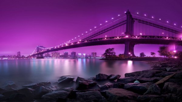 file_73396956