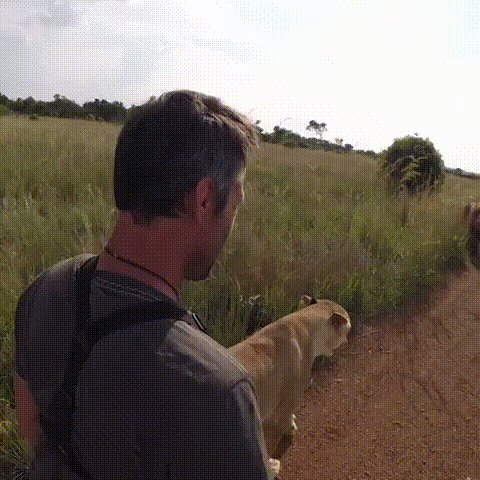 Обнимашки^ ^