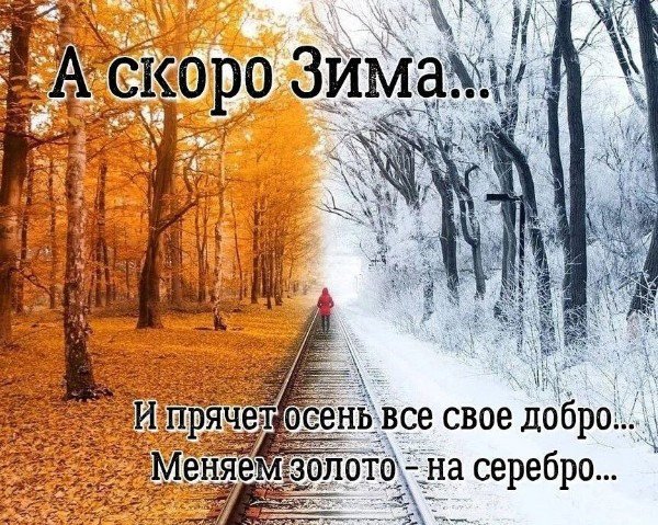 file_95105343