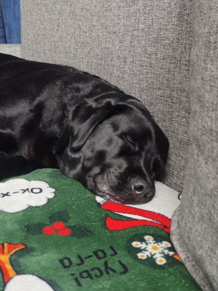 EDVXFTTHBYGCG2R50GZU