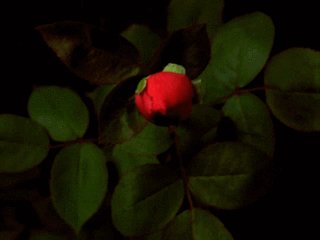 file_58110992