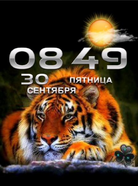 Тигр День-Ночь