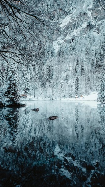 4K-Winter-239