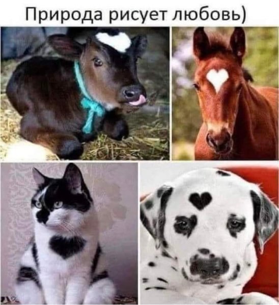FB IMG 1716051961196