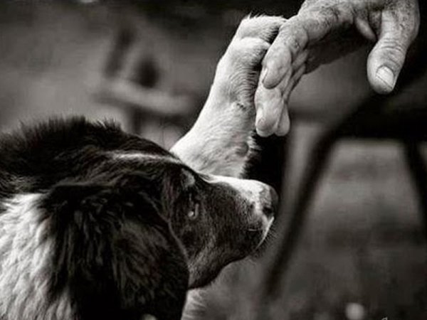 photo 1544736406
