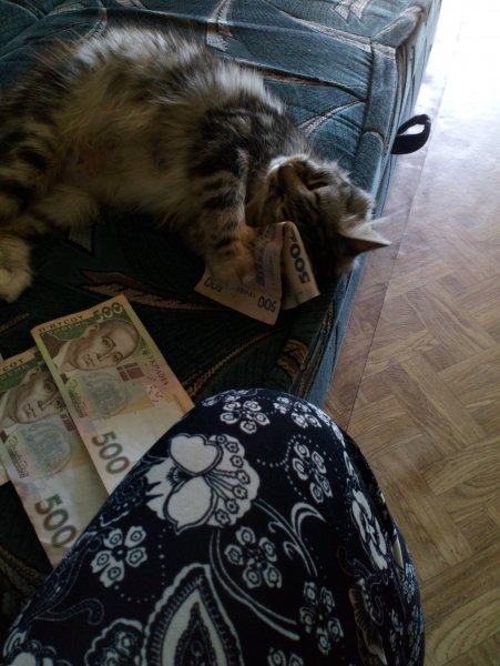 IMG-2b1d12bbbd19794f13a21eb8998b7255-V