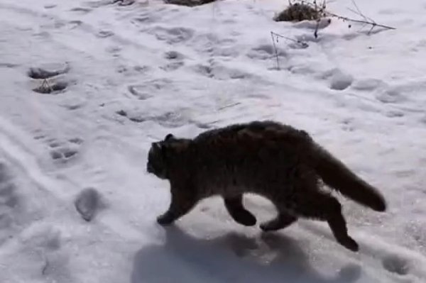 0c0b46cea65ccbd7e955d1c86a662de9