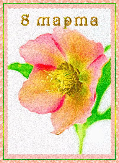 8 МАРТА 164